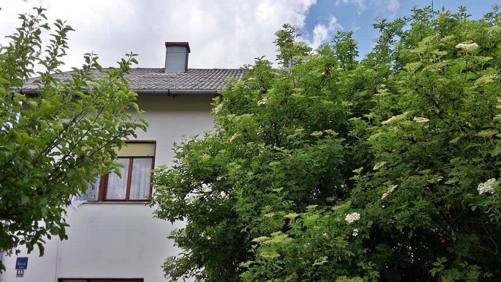 House Petkovic Hotel Korenica Bagian luar foto