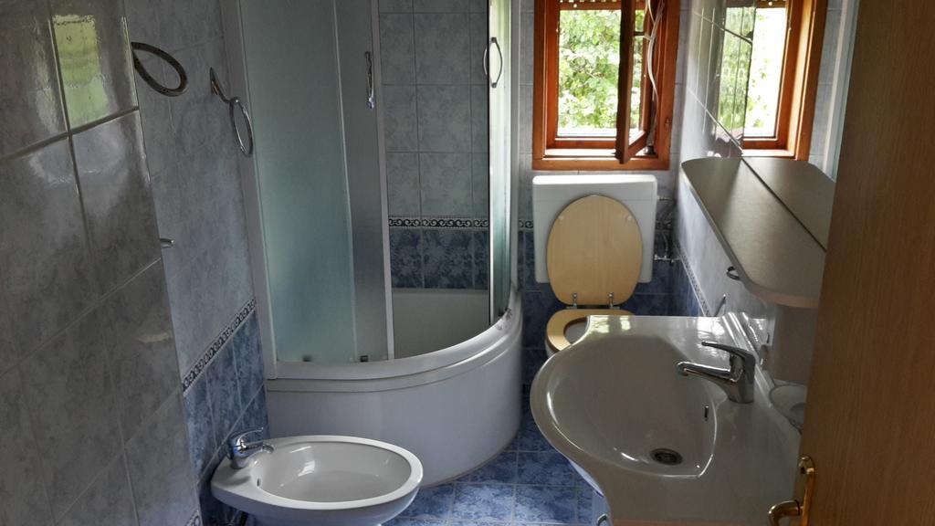 House Petkovic Hotel Korenica Bagian luar foto