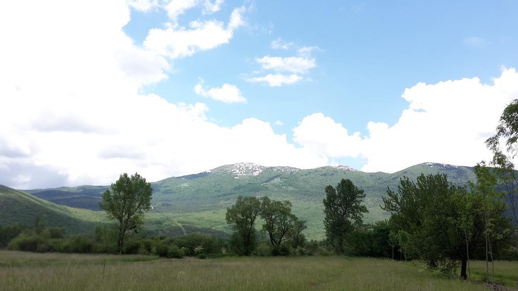 House Petkovic Hotel Korenica Bagian luar foto