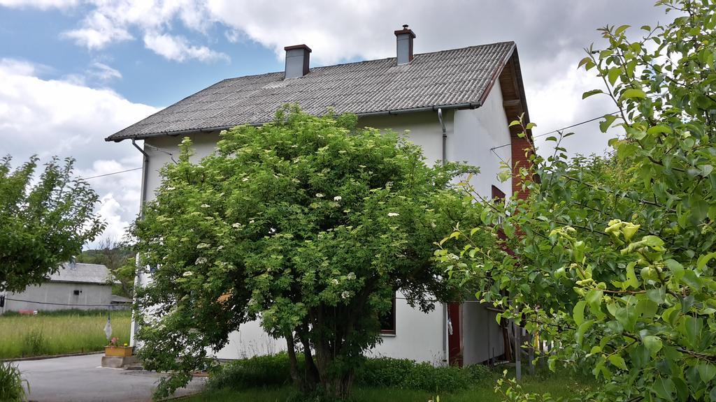 House Petkovic Hotel Korenica Bagian luar foto