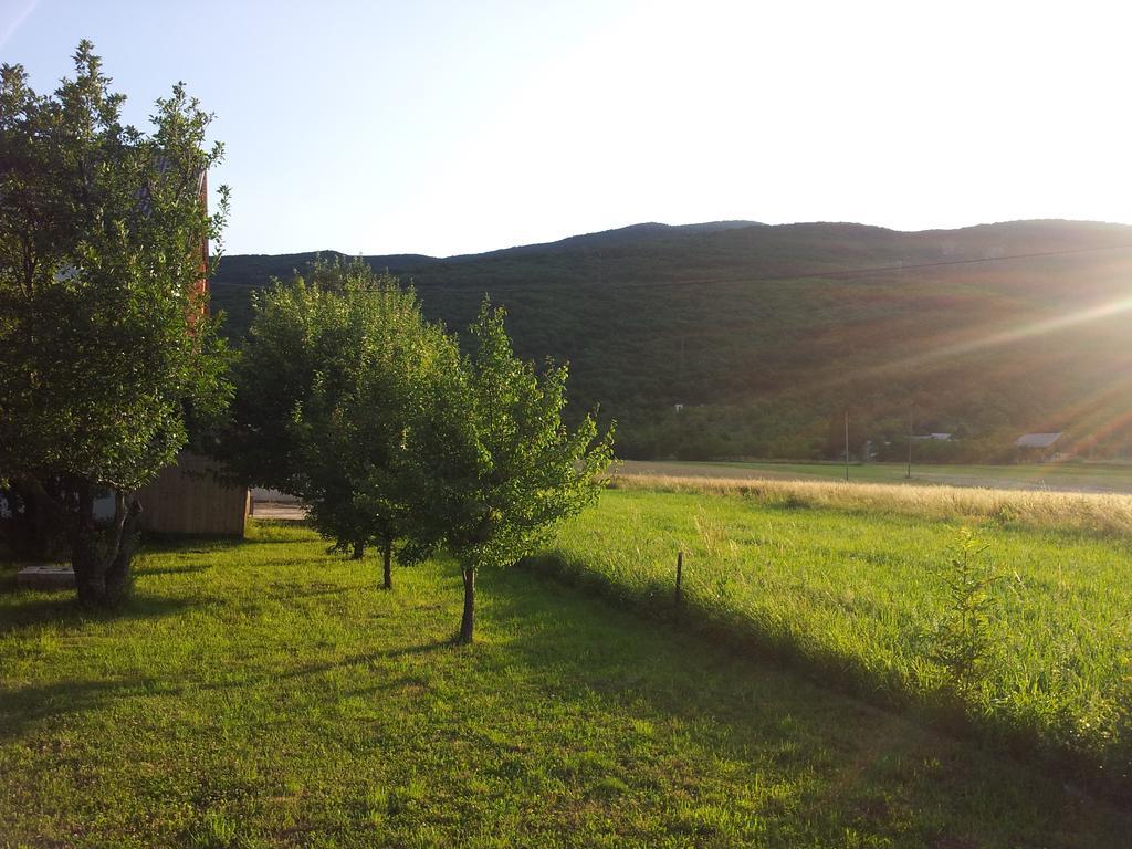 House Petkovic Hotel Korenica Bagian luar foto